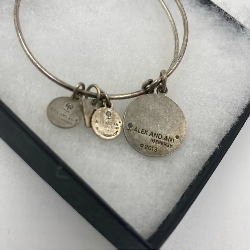 Alex and Ani brand alex